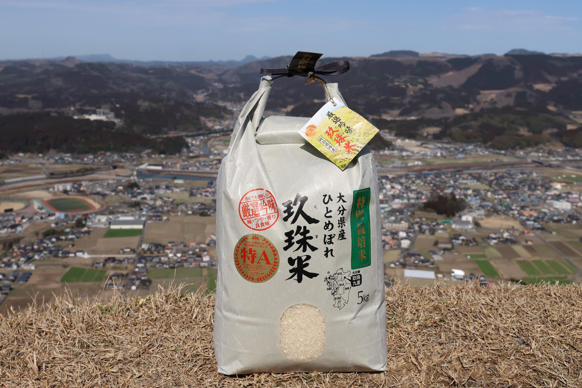 町長コラム vol.11(2025年3月11日)／玖珠町