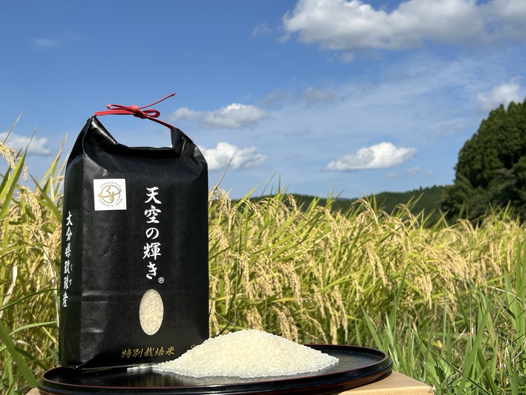 くす天空の輝き