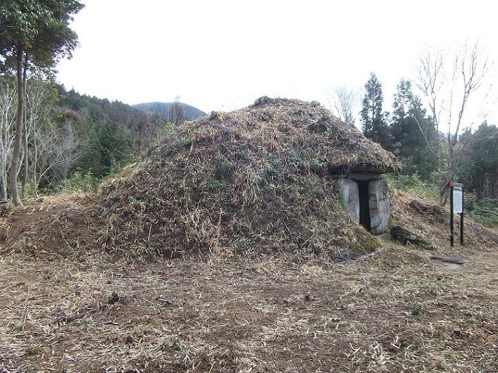 周囲を杉林で覆われている墳丘の上に土が盛られている鬼ヶ城古墳の写真