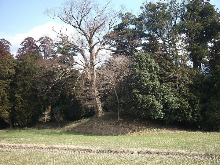 田んぼの奥の林の中央に、土が盛り上がった箇所がある亀都起古墳の写真