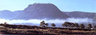 山の周辺に靄がかかり、頂上が平らになっている珍しい形をした伐株山の写真