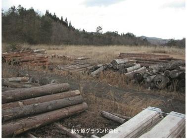 丸太や木材が複数積まれている萩ヶ原グラウンド跡地の写真