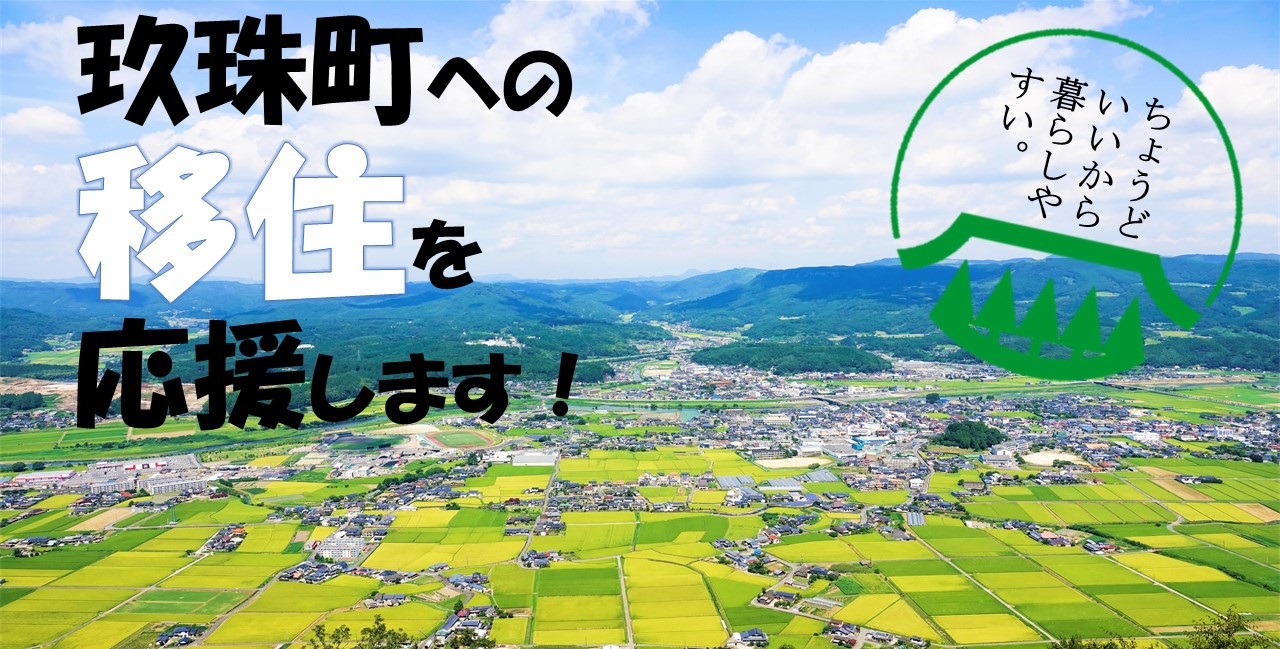 移住定住サイト